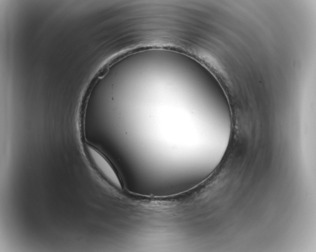 X0000088840942200706211830