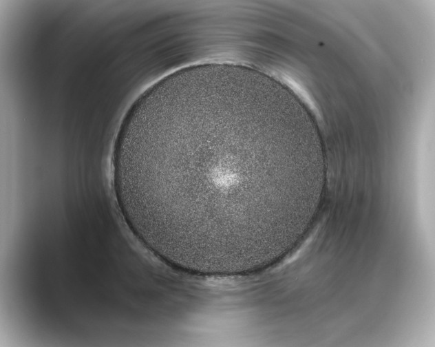 X0000088840944200706211830