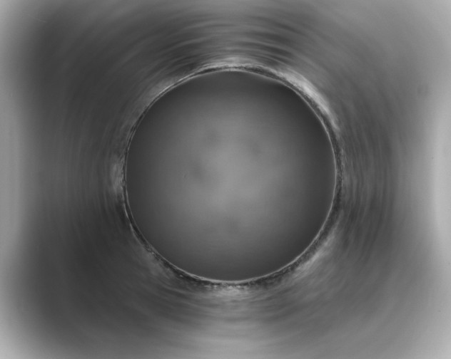 X0000088840945200706211830