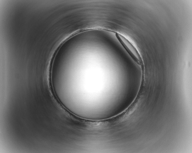 X0000088840949200706211830