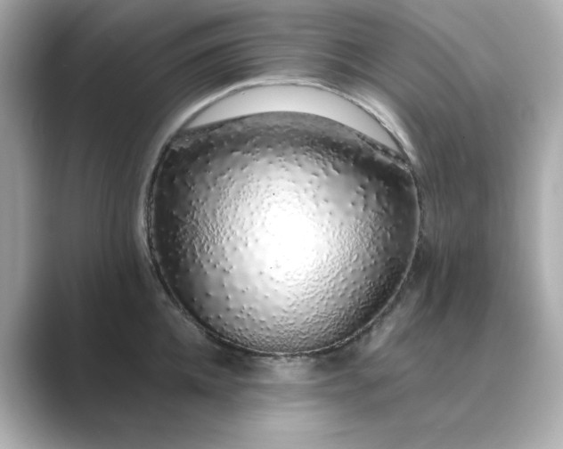 X0000088840952200706211830