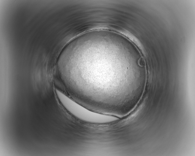 X0000088840953200706211831