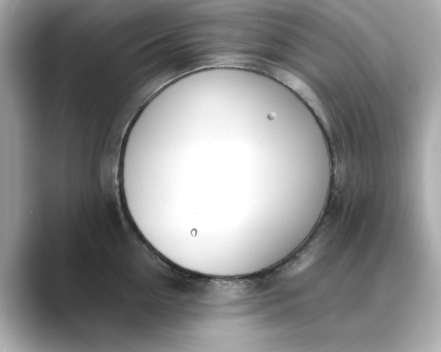 X0000088840954200706211831