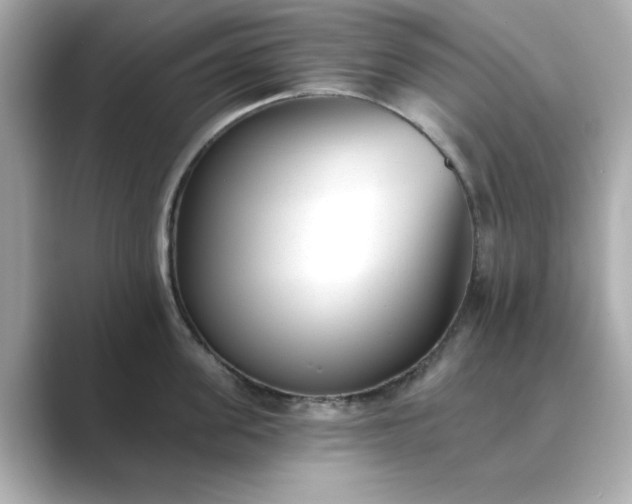 X0000088840955200706211831