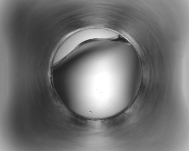 X0000088840956200706211831