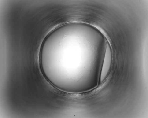 X0000088840957200706211831