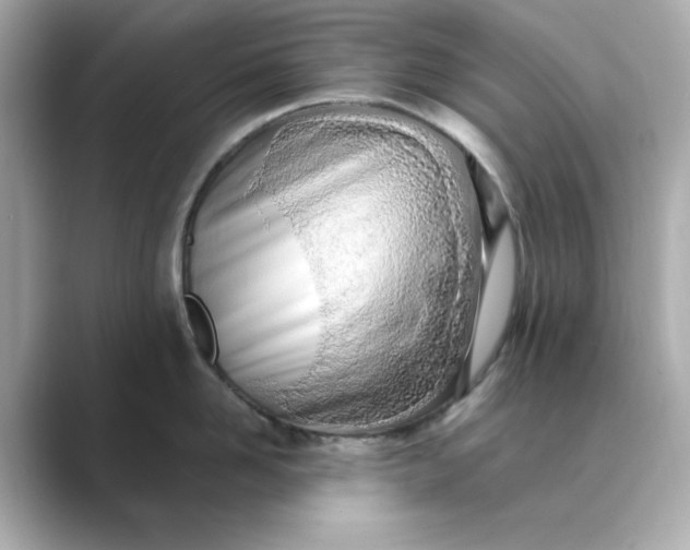 X0000088840958200706211831