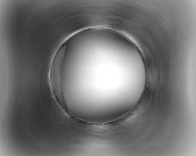 X0000088840959200706211831