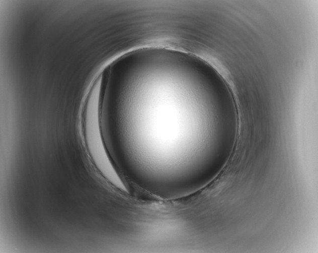 X0000088840960200706211831