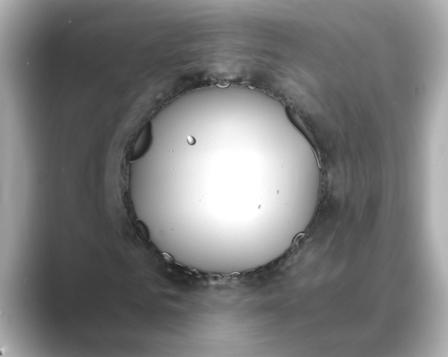 X0000088840961200706211830