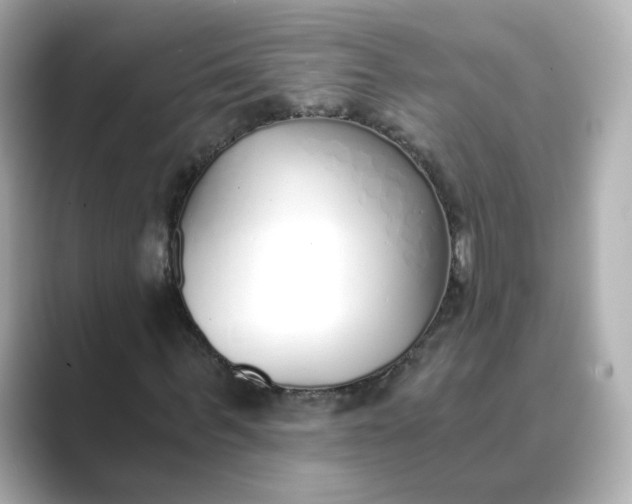 X0000088840963200706211830