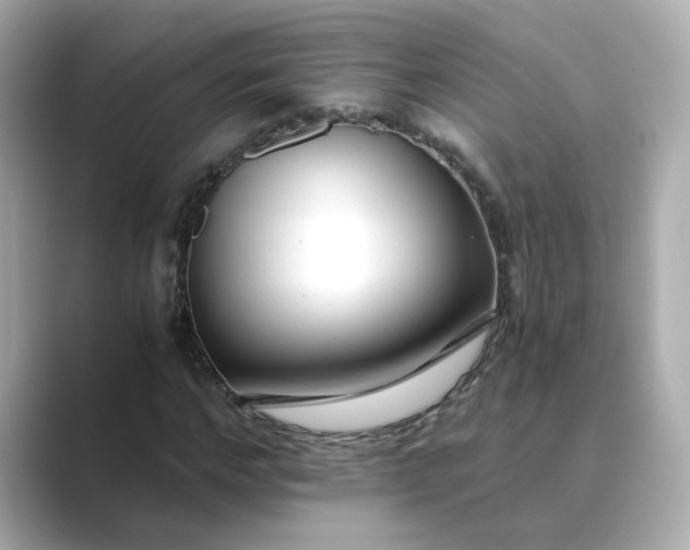 X0000088840968200706211830