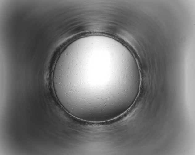 X0000088840971200706211830