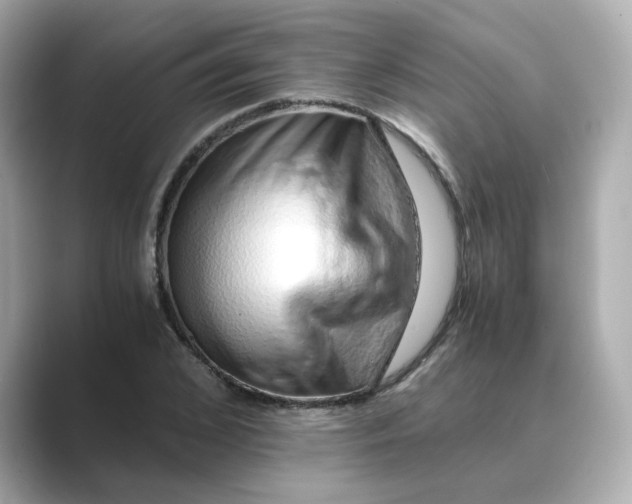 X0000088840976200706211830