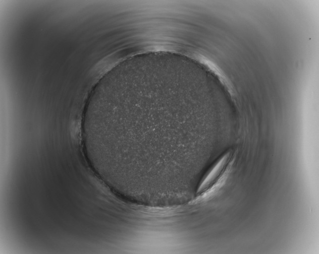 X0000088840977200706211830