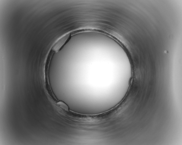 X0000088840980200706211830