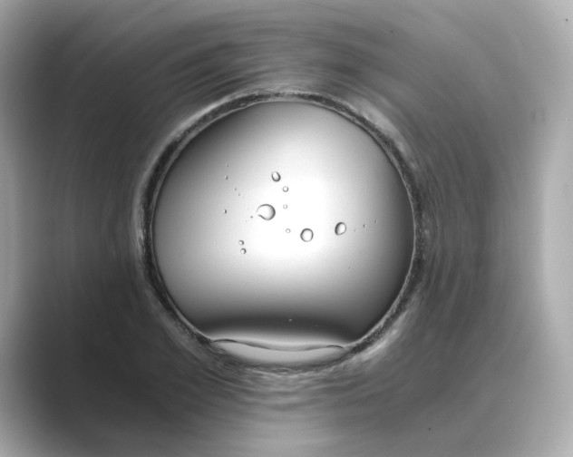 X0000088840981200706211830