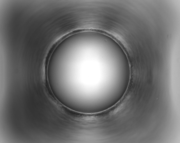 X0000088840982200706211830