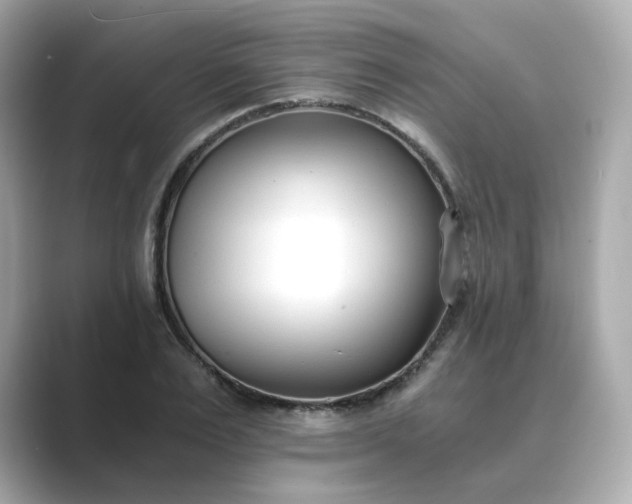 X0000088840983200706211830