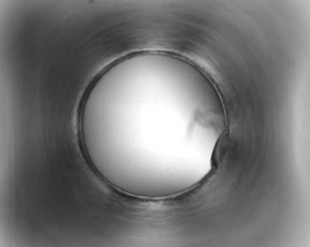 X0000088840990200706211830