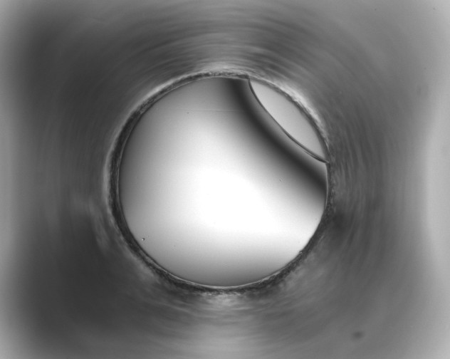 X0000088840991200706211830