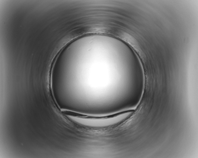 X0000088840994200706211830