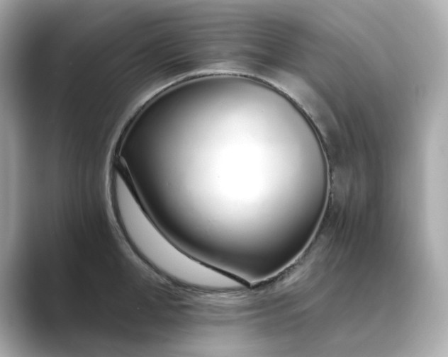 X0000088840998200706211830