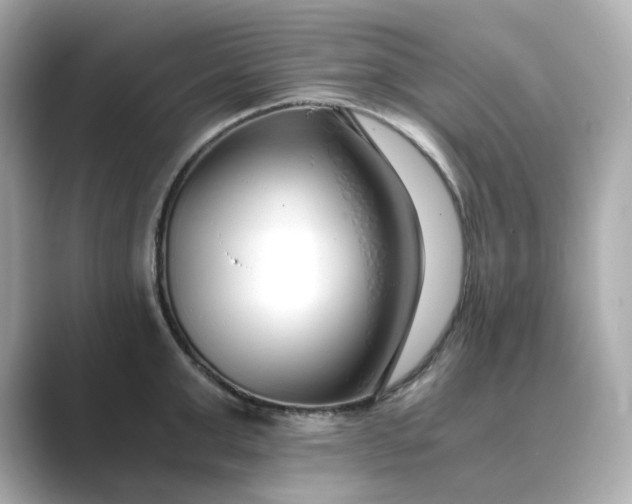 X0000088840999200706211830