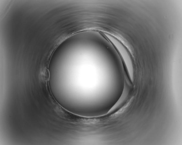 X0000088841001200706211830