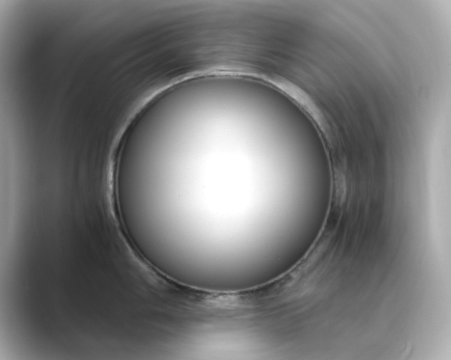 X0000088841006200706211830