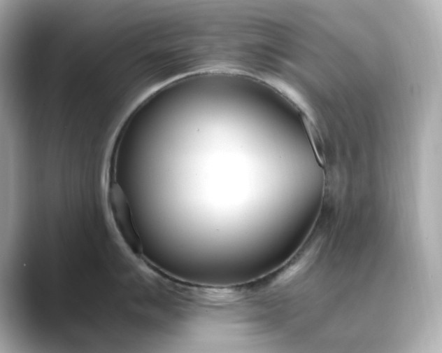 X0000088841007200706211829