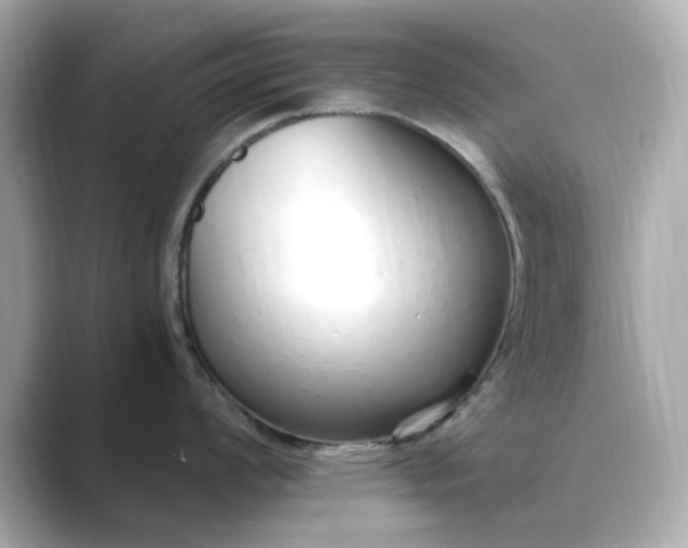 X0000088841008200706211829