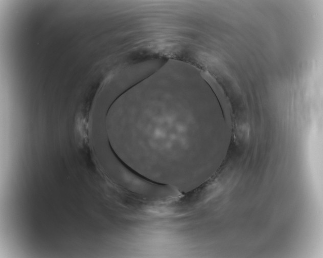 X0000088841010200706211829