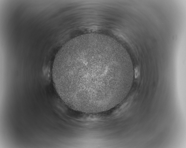 X0000088841011200706211829