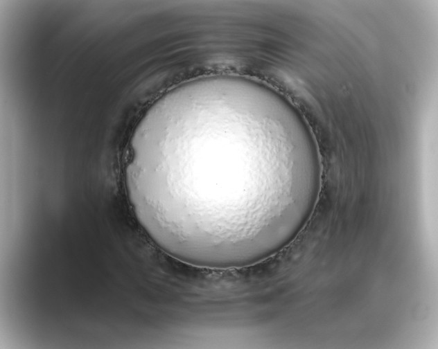 X0000088841015200706211829