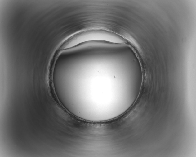 X0000088841020200706211829