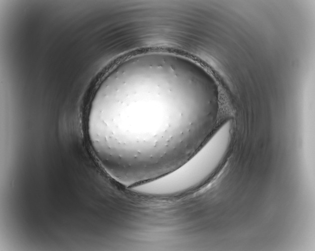 X0000088841022200706211829