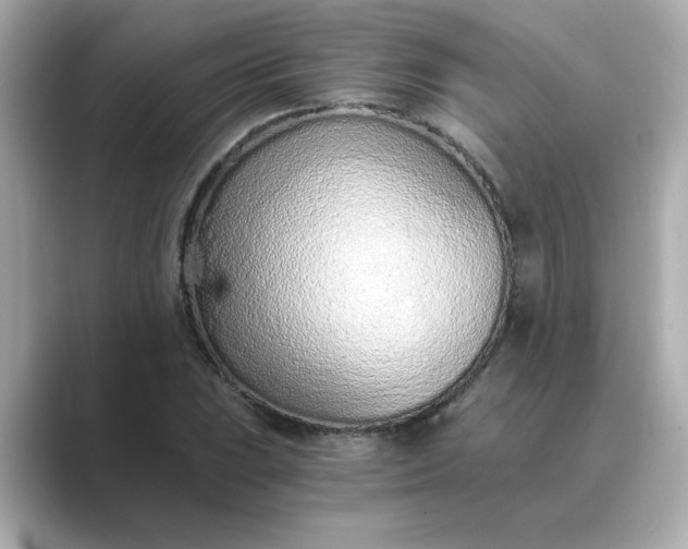 X0000088841023200706211829