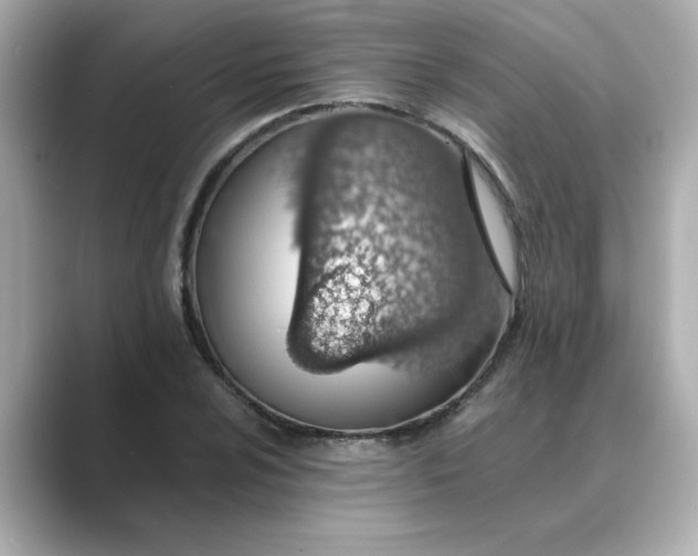 X0000088841024200706211829