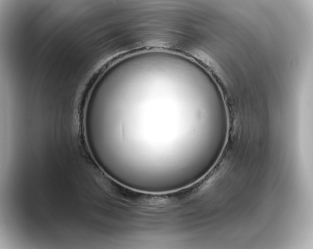 X0000088841027200706211829