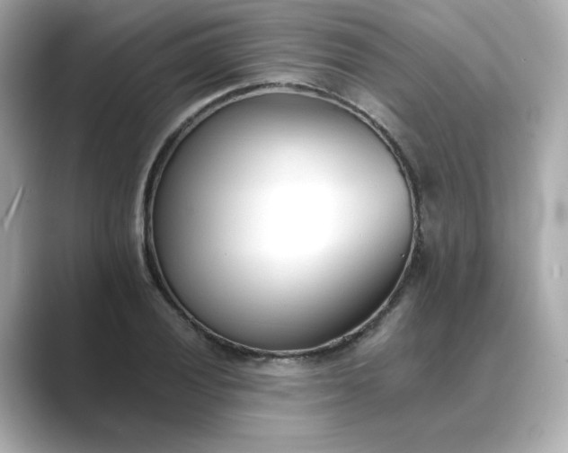 X0000088841028200706211829