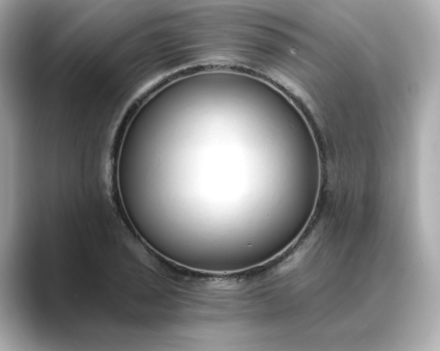 X0000088841029200706211829