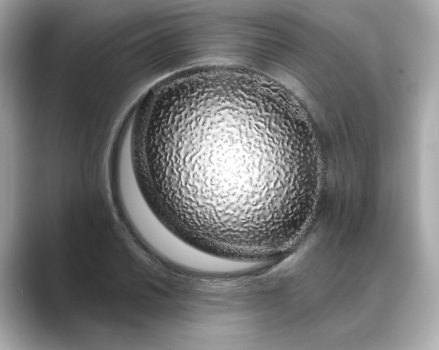 X0000088841030200706211829