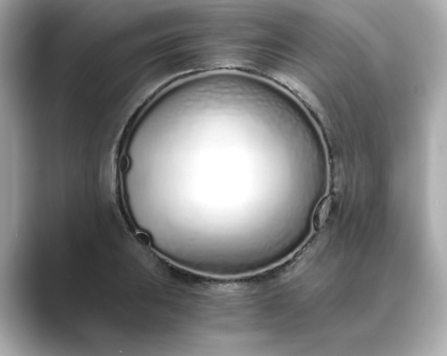 X0000088841031200706211829