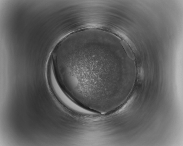 X0000088841034200706211829