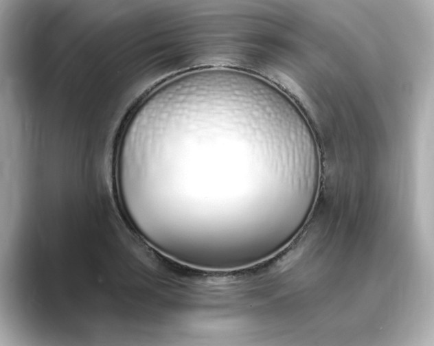 X0000088841035200706211829