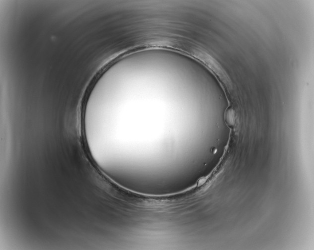 X0000088841036200706211829