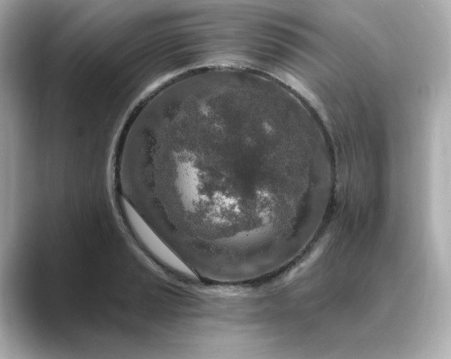 X0000088841037200706211829