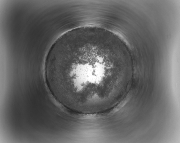 X0000088841038200706211829