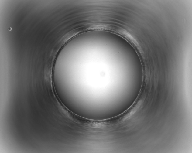 X0000088841041200706211829